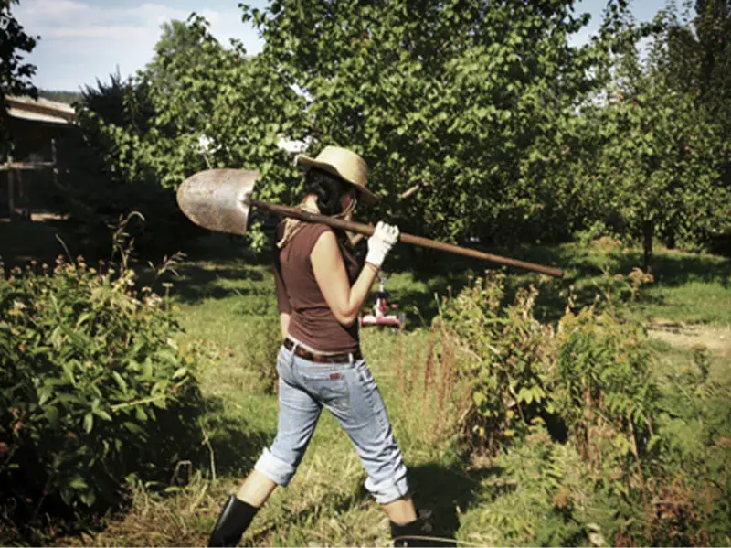 WWOOFing for Solo Travelers