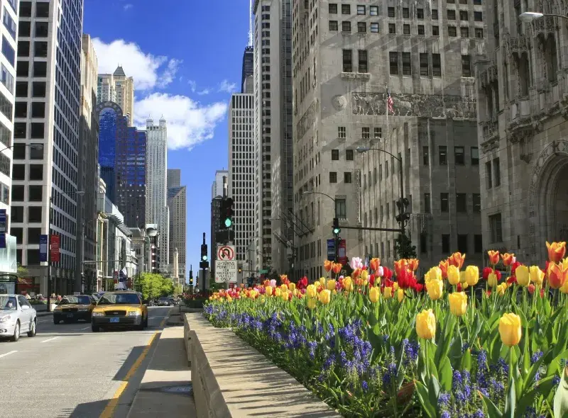 The Magnificent Mile