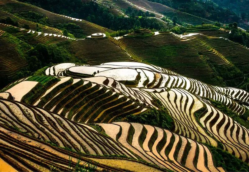 Best Places to Travel in China-Longji Rice Terraces